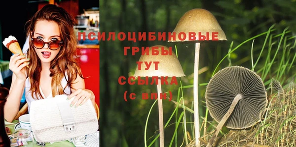 спайс Абаза