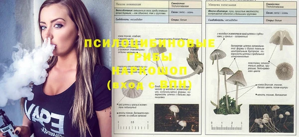 мефедрон мука Новозыбков