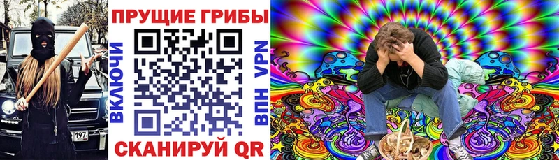 наркота  Лесозаводск  Галлюциногенные грибы Psilocybe 